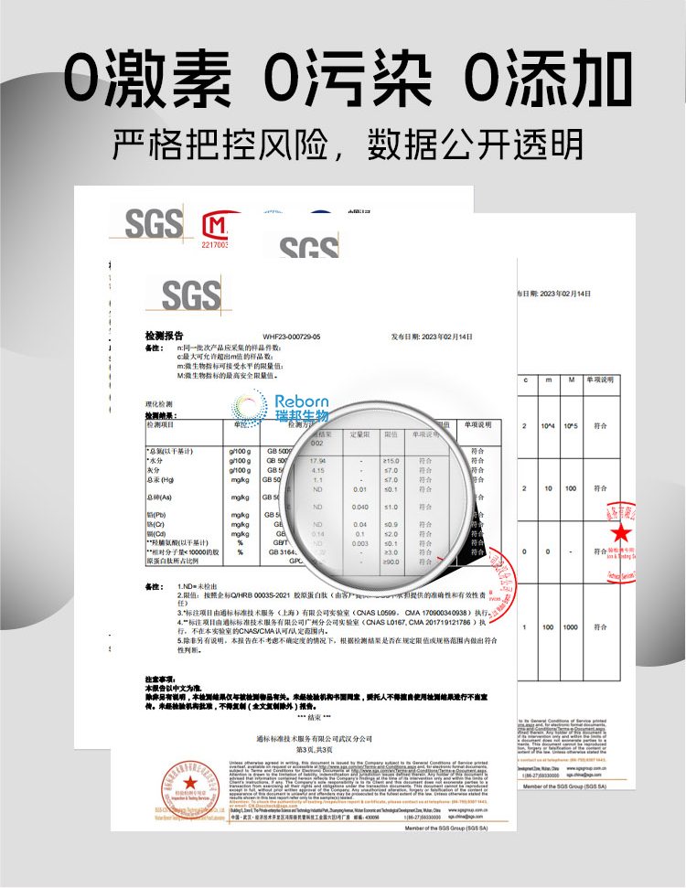 鱼详情09.png